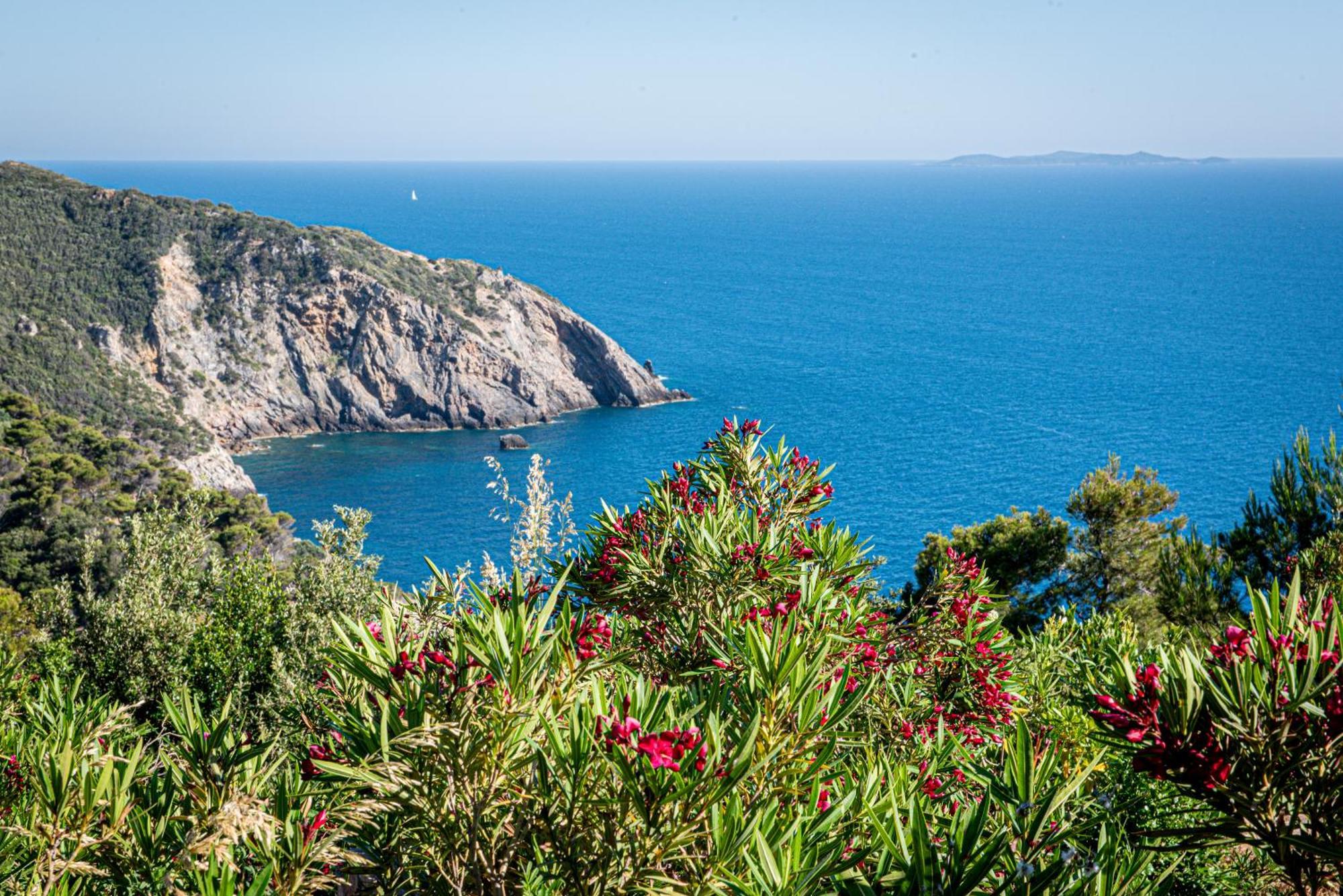 Boutique Hotel Torre Di Cala Piccola Porto Santo Stefano  Bagian luar foto