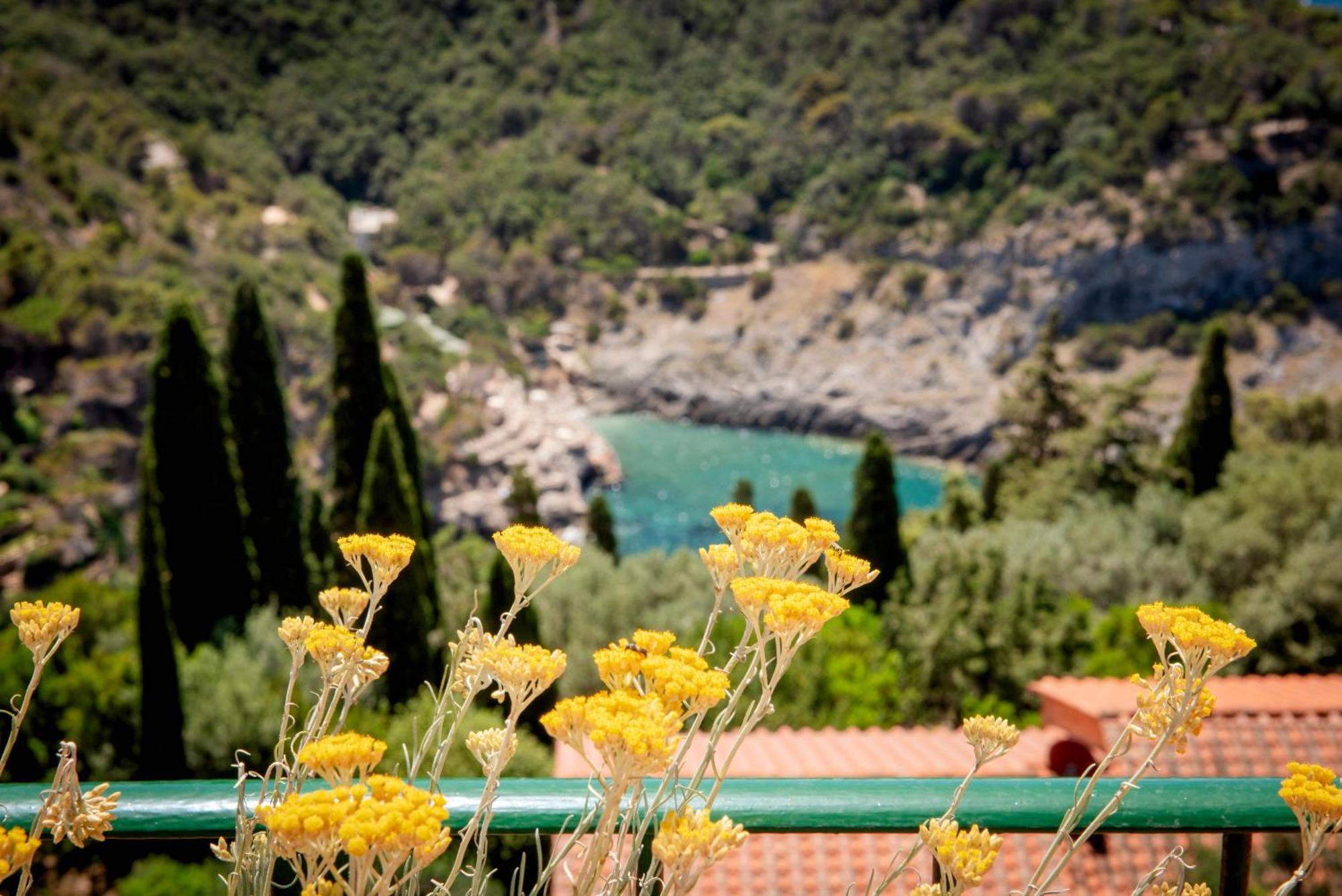 Boutique Hotel Torre Di Cala Piccola Porto Santo Stefano  Bagian luar foto